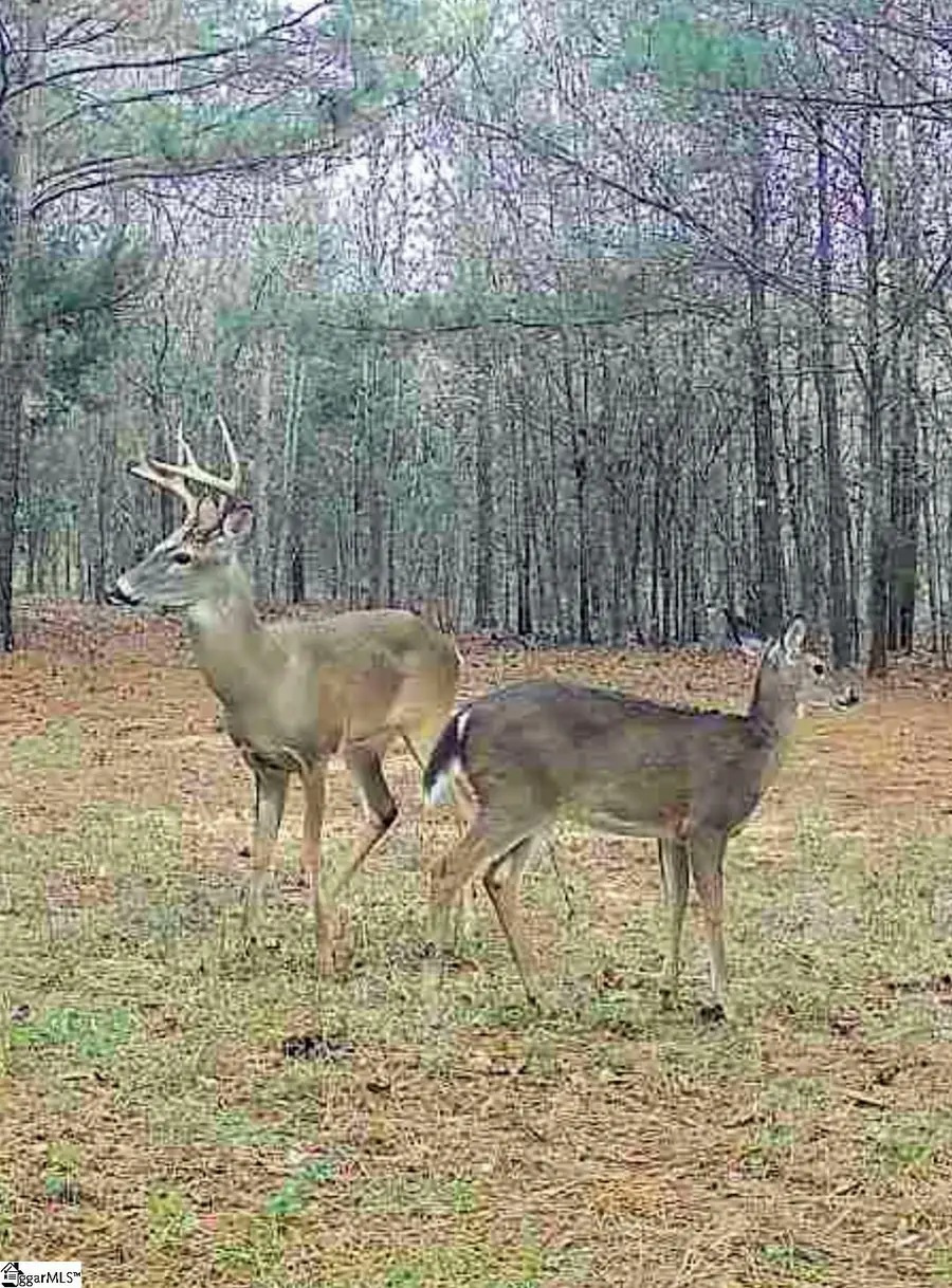 1007 Oneal Street, Belton, SC 29627-1113 - #3