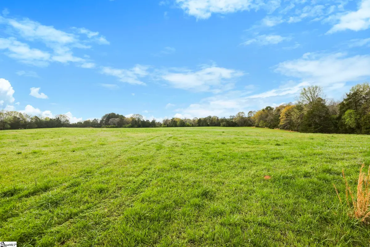 00 New Hope Church Road, Enoree, SC 29335 - #1