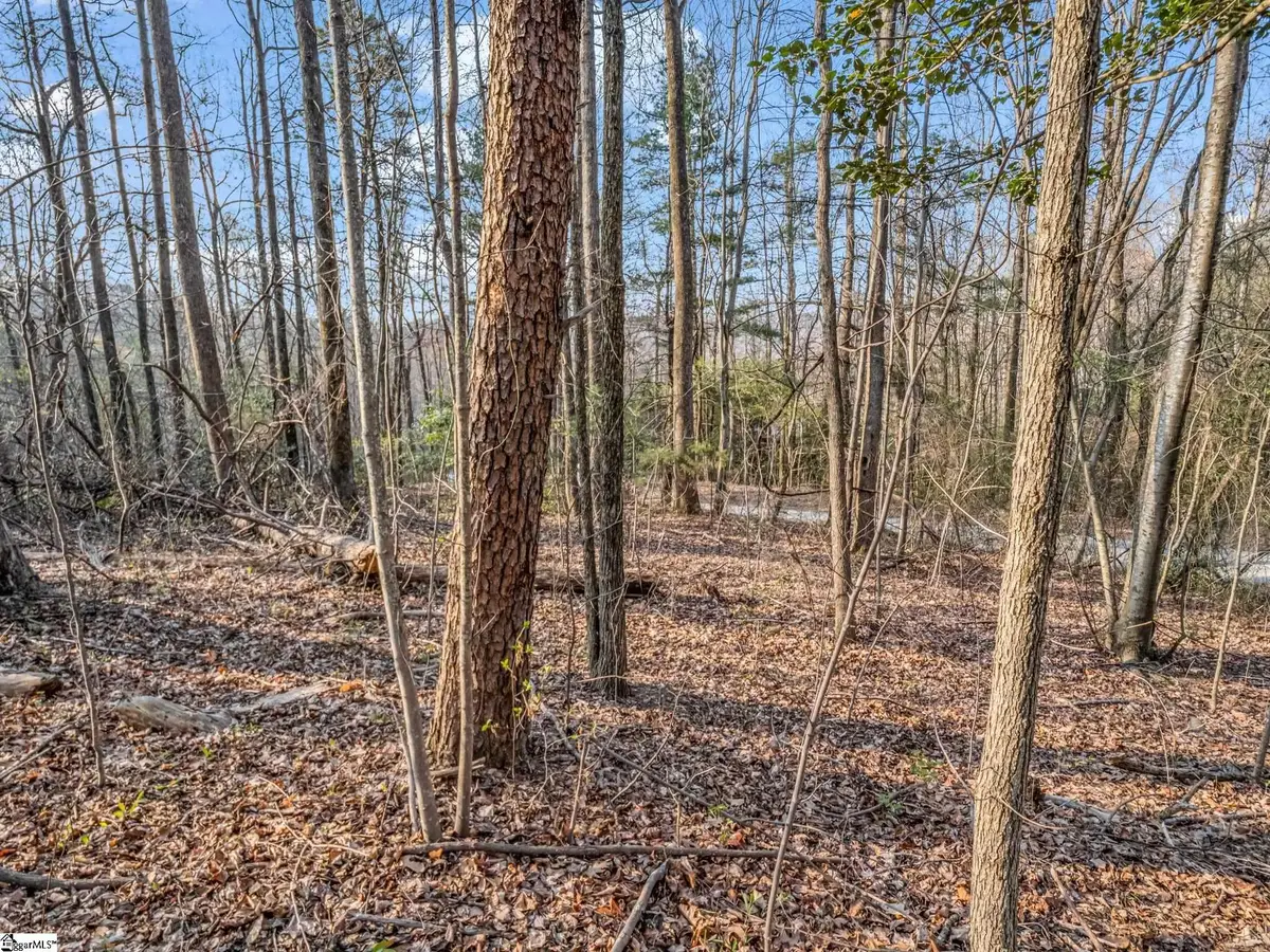 TBD Mountain Lakes Drive, Tryon, NC 28782 - #1