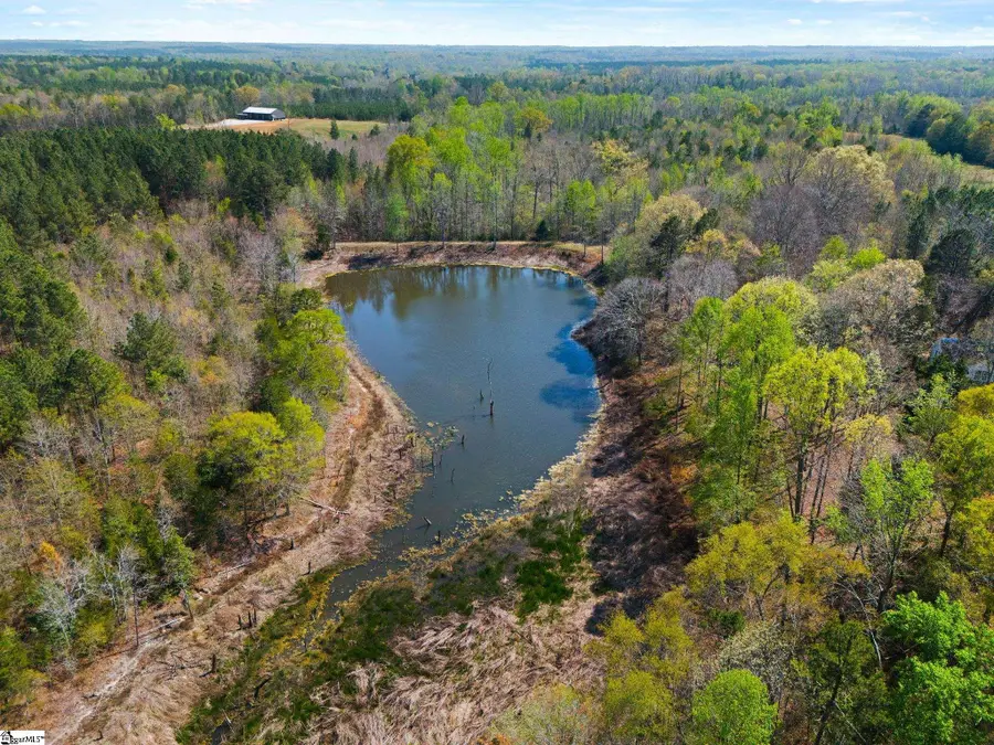 00 Todd Road, Gray Court, SC 29645 - #2