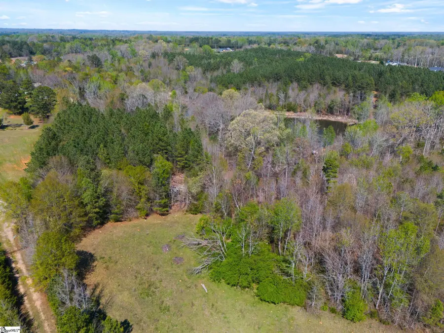 00 Todd Road, Gray Court, SC 29645 - #3