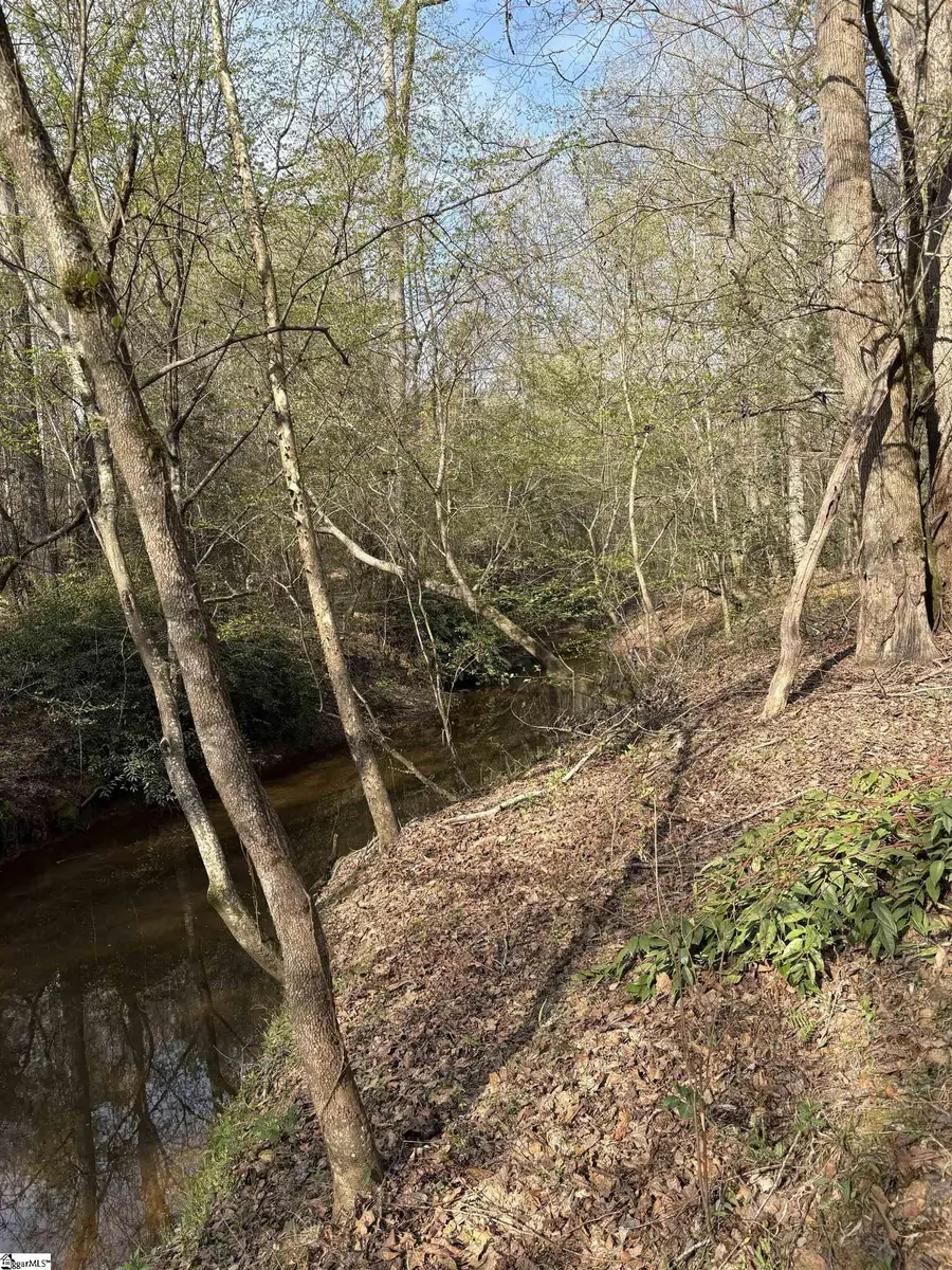 338 Berry Road, Pelzer, SC 29669 - #3