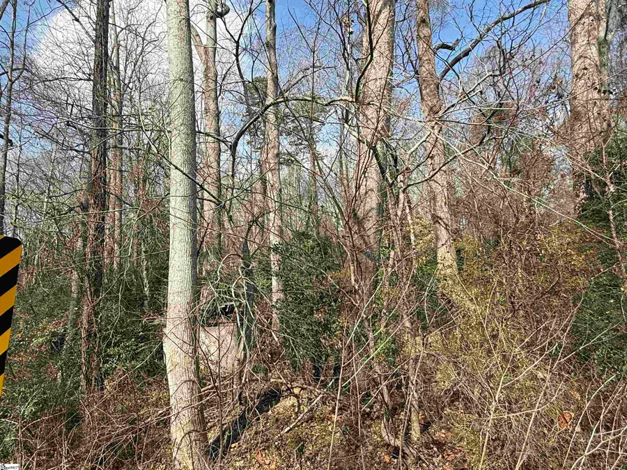 0 Mccall Road, Greenville, SC 29607 - #3