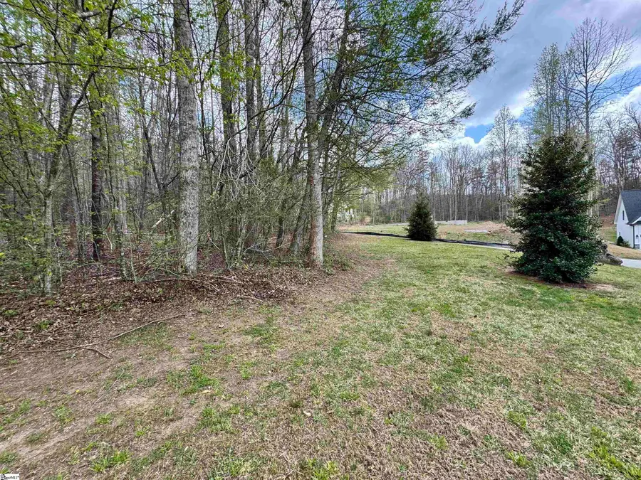 101 Autumn Leaves Way, Marietta, SC 29661 - #2