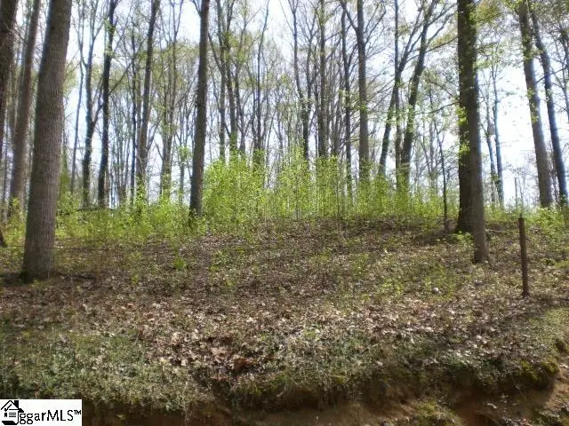 204 Lakeshore Drive, Easley, SC 29642 - #2