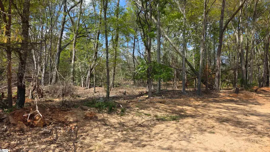 0 Dalton Road, Piedmont, SC 29673 - #3