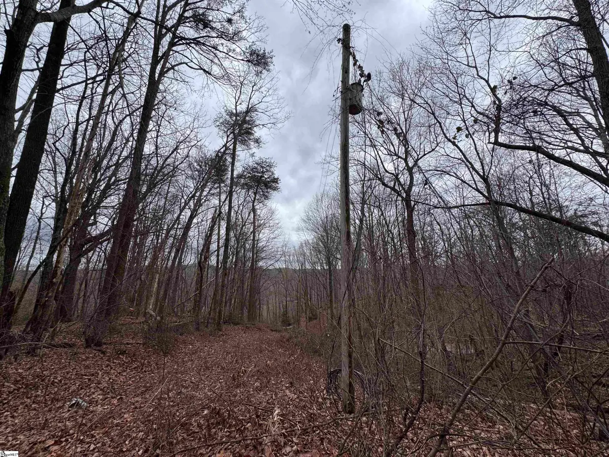 100 Chestnut Mountain Road, Travelers Rest, SC 29690-7878 - #1