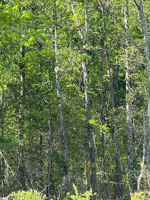 00 Woodfin Road, Inman, SC 29349