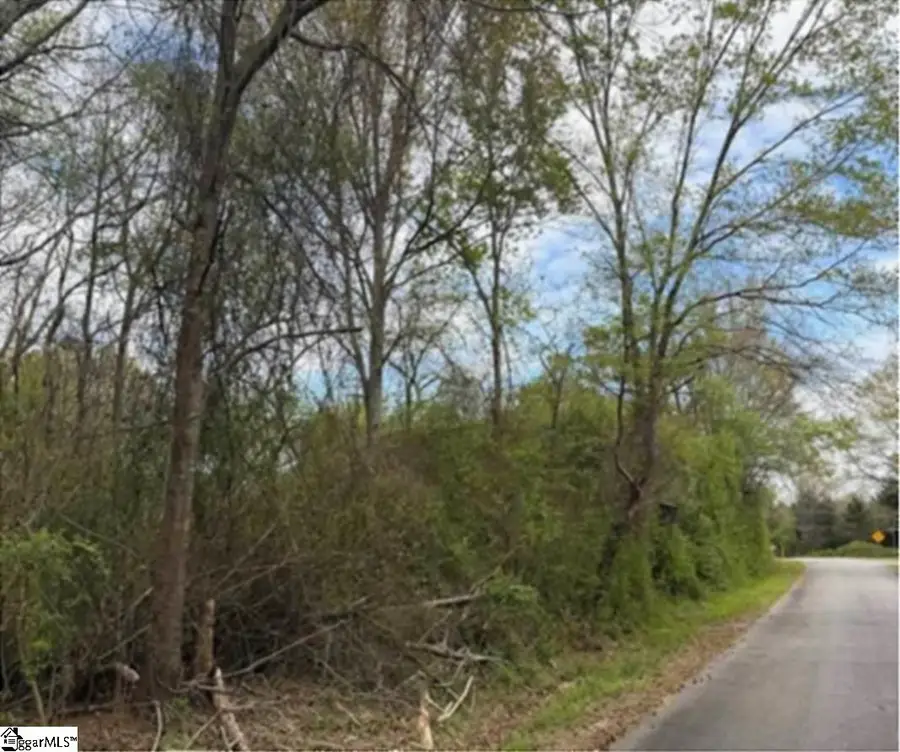Augusta Road, Pelzer, SC 29669 - #2