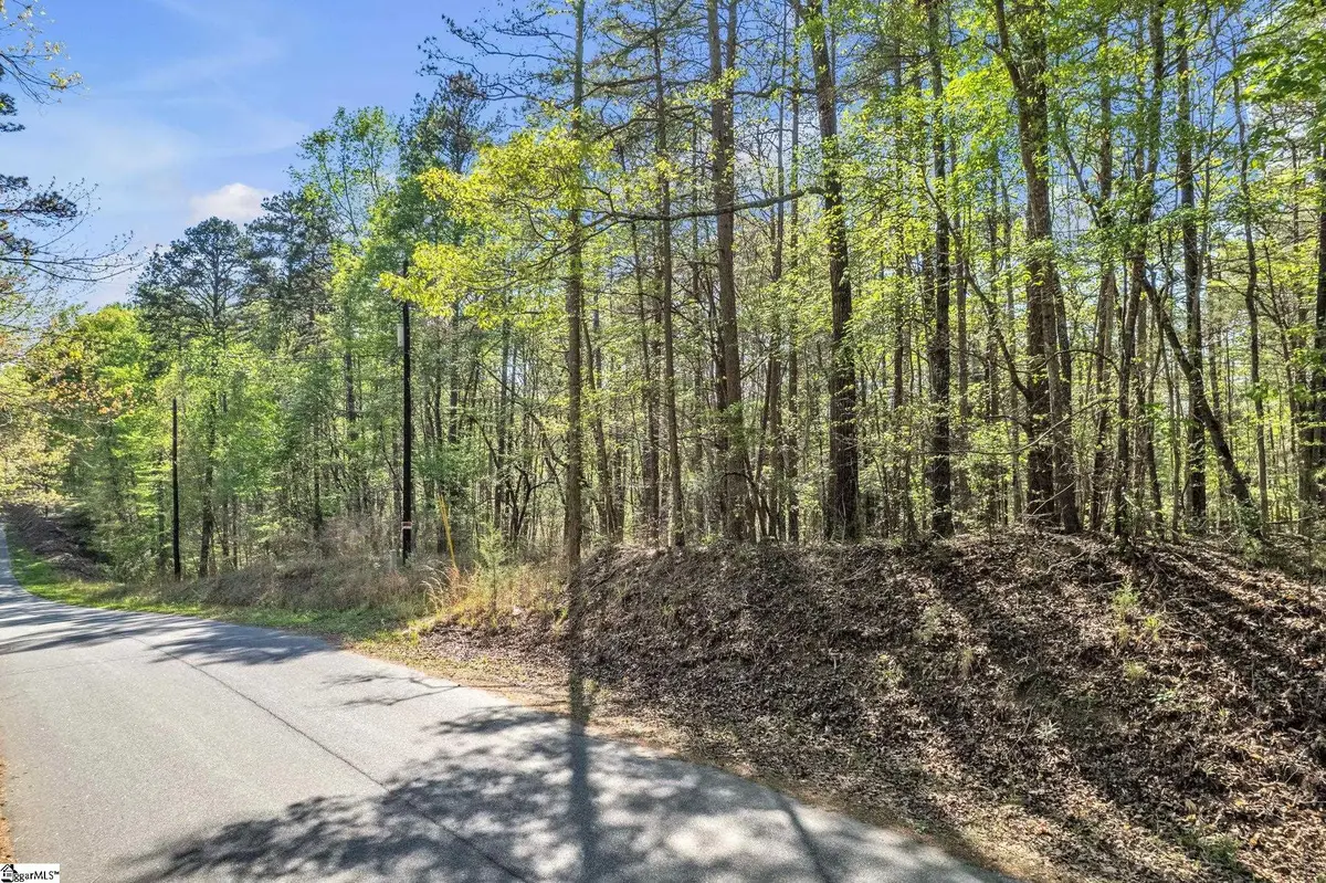 00 Pinewood Road, Spartanburg, SC 29302 - #1