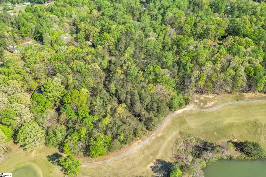 00 Pinewood Road, Spartanburg, SC 29302 - #3