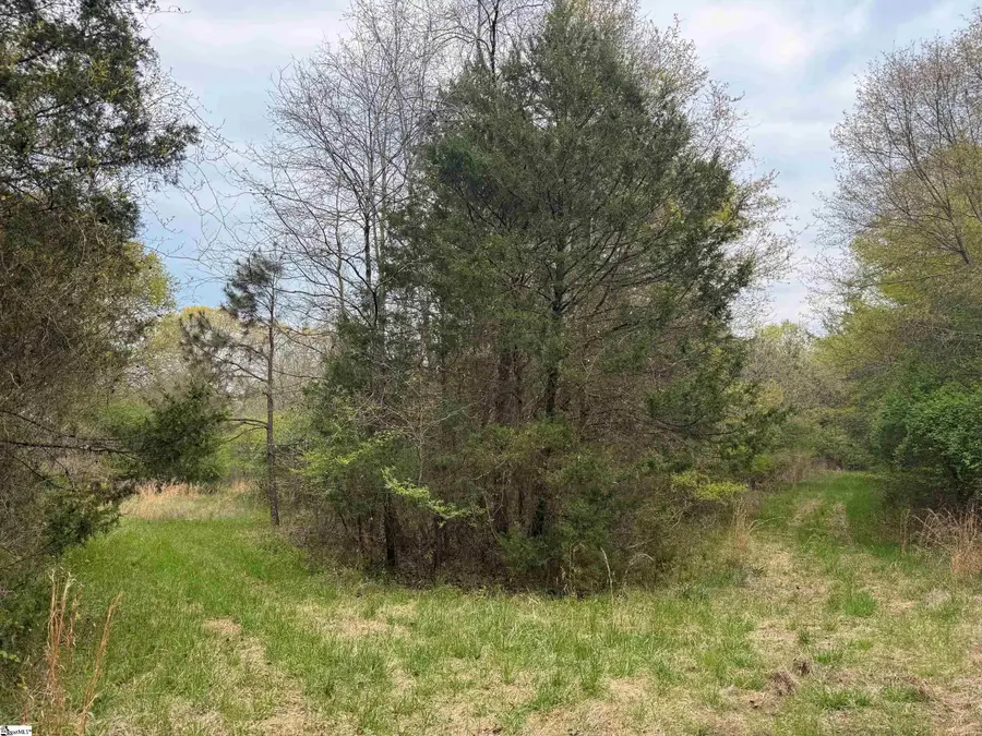 1511 Flat Rock Road, Starr, SC 29684 - #3