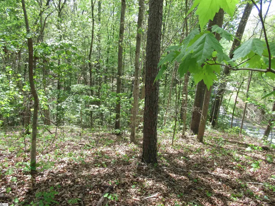 00 Bay Drive #Lot 30 Bay Drive, Fair Play, SC 29643 - #2