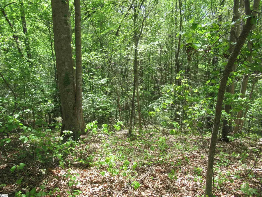 00 Bay Drive #Lot 30 Bay Drive, Fair Play, SC 29643 - #3