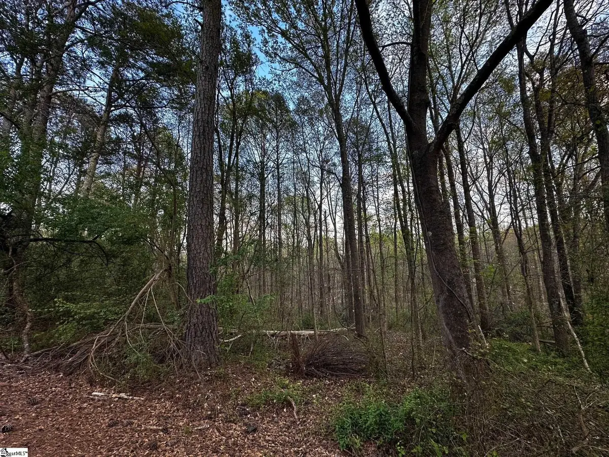 101 Sugarmill Lane, Moore, SC 29369 - #1