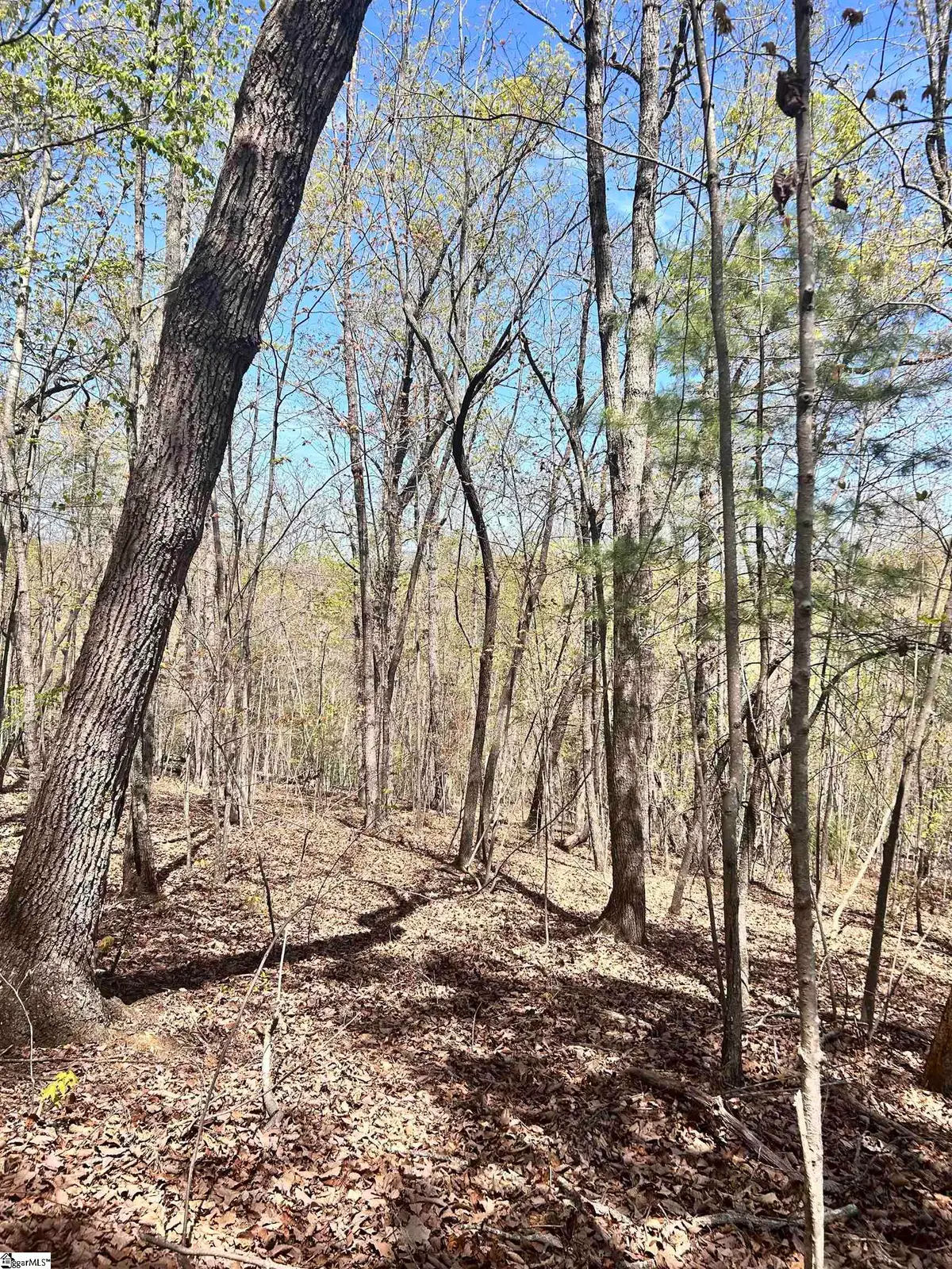 00 Sc-11 Highway, Travelers Rest, SC 29690 - #1