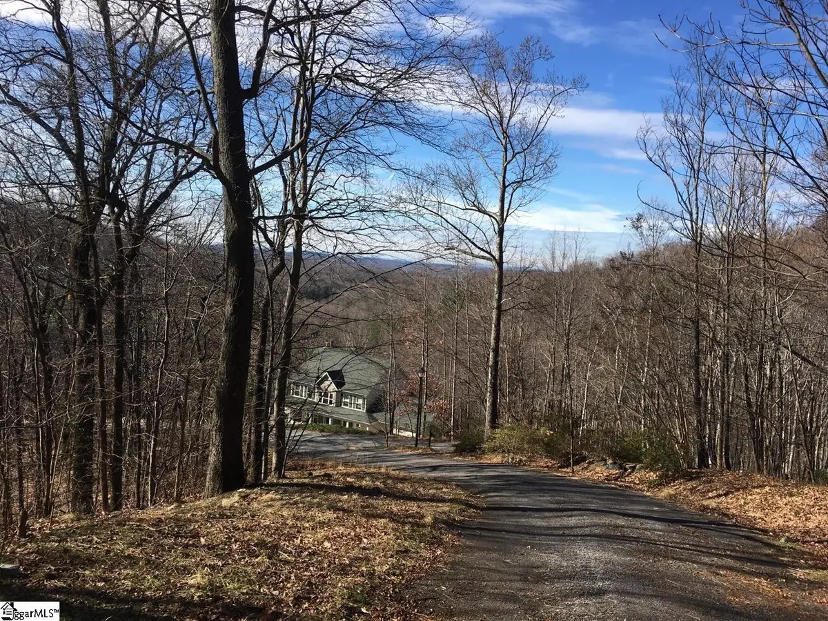 Lot 11 Laurel Hill Lane, Landrum, FL 29356 - #1