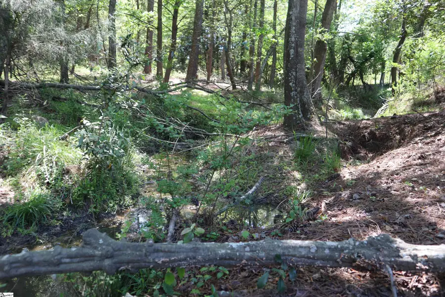 0 Old Canaan Tract 6 Road, Spartanburg, SC 29306 - #3