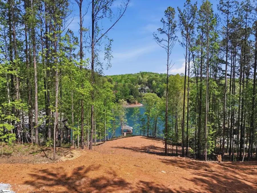 315 S Cove Road, Sunset, SC 29685 - #2