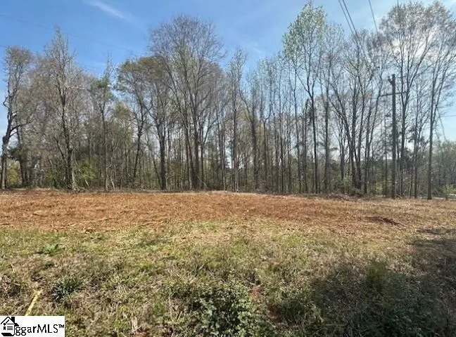 0000 Circle Road, Greer, SC 29651 - #1