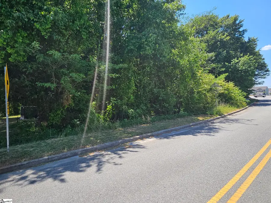 7411 Burdine Drive, Greenville, SC 29617 - #3