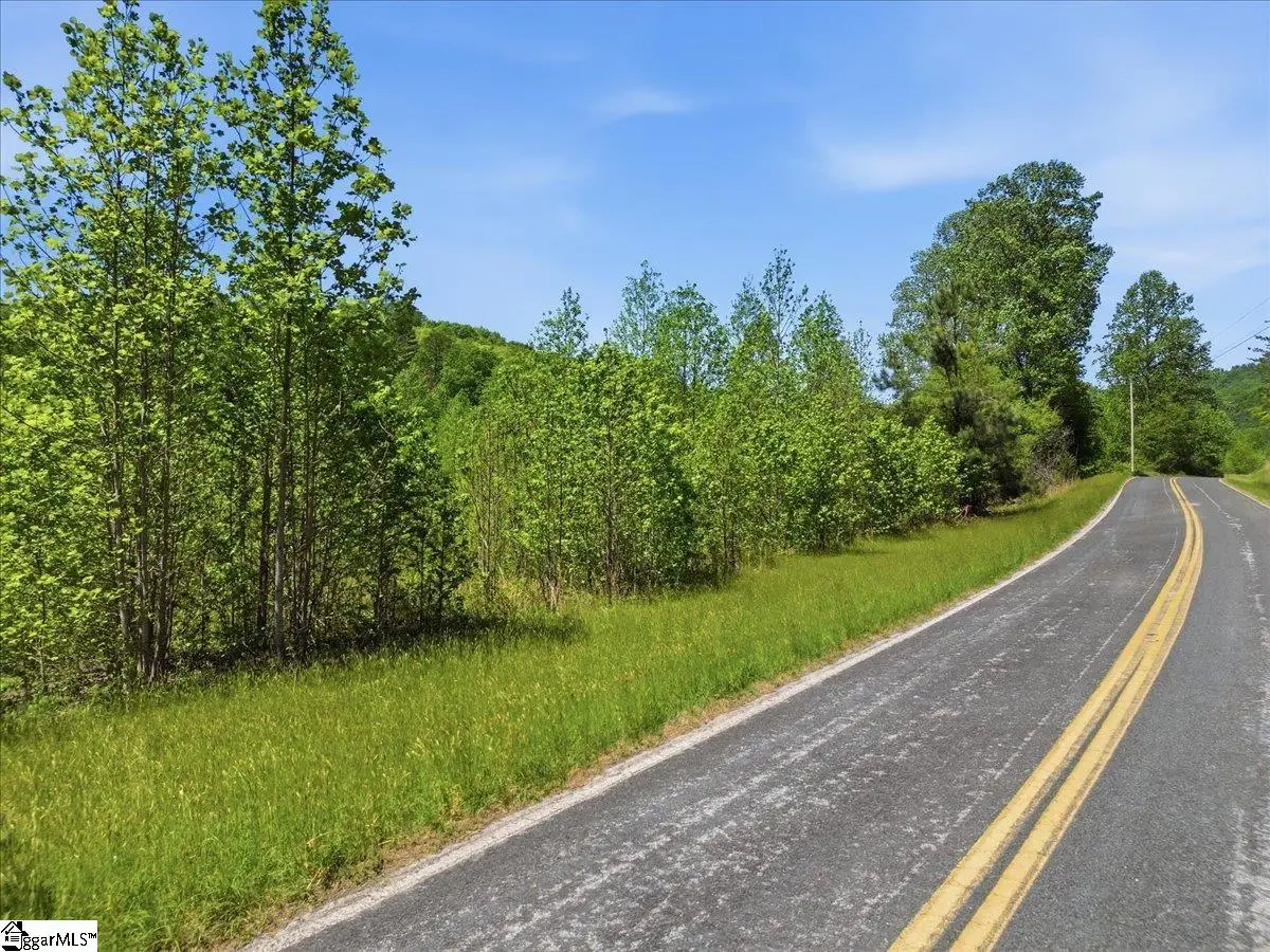 7148 11 Highway, Sunset, SC 29685 - #1