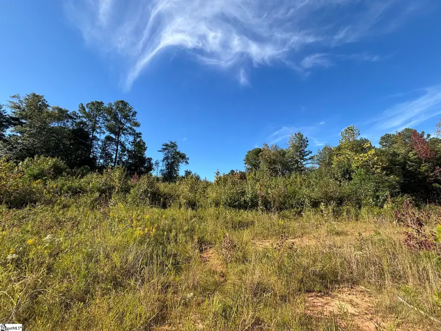 3692 N 14 Highway, Greer, SC 29651 - #3