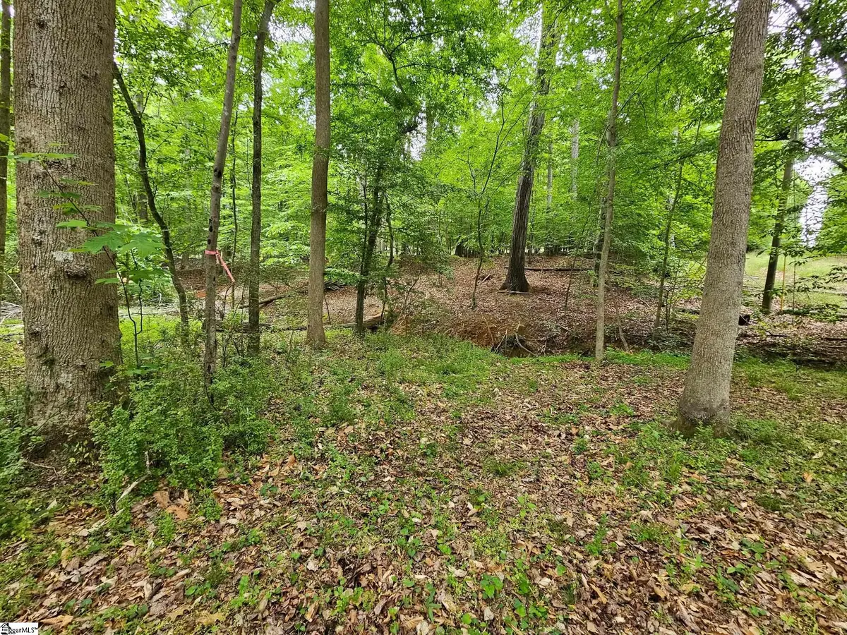 226 S Kings Drive, Fountain Inn, SC 29644 - #1