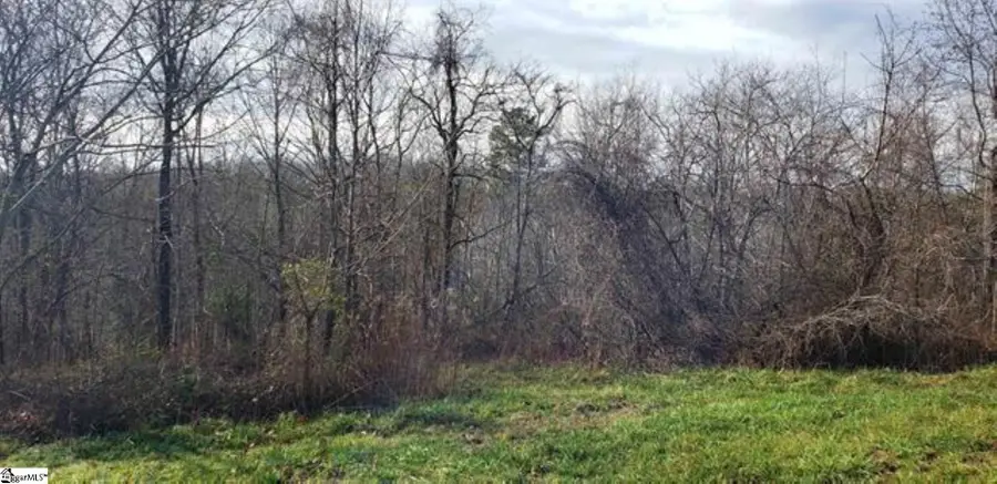 00 Lockhart Circle, Landrum, SC 29356 - #3