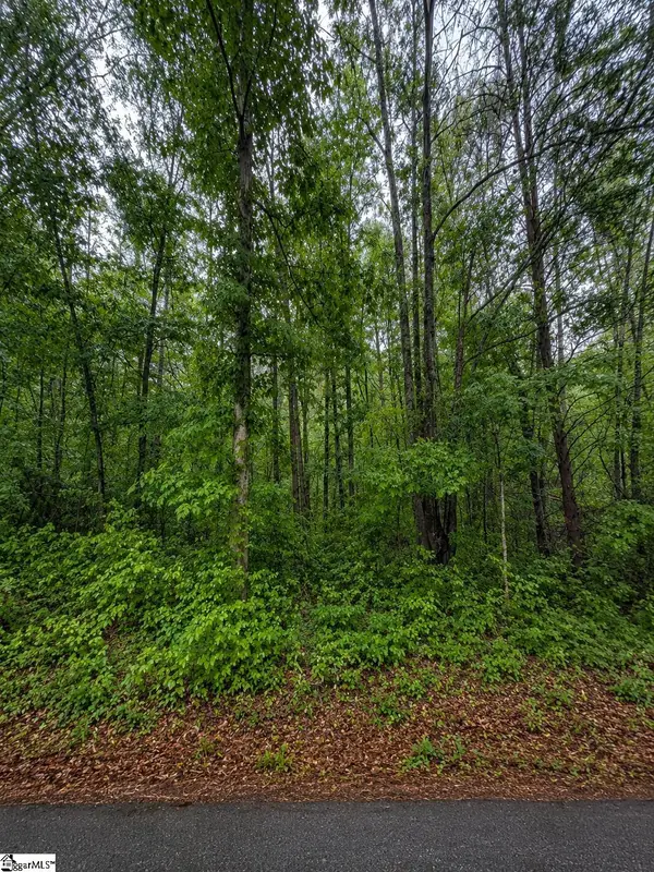 00 Valley Road #lot 1, Travelers Rest, SC 29690-0000