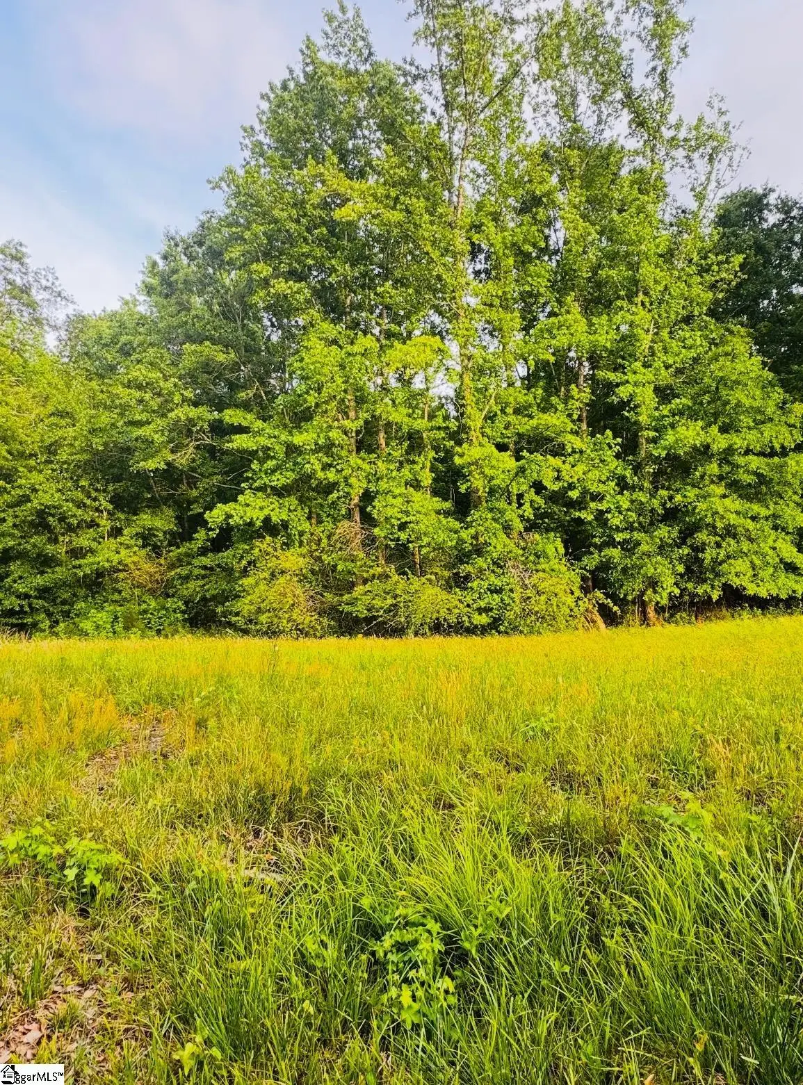0000 Thompson Road, Fountain Inn, SC 29644 - #1