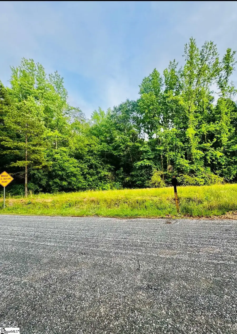 0000 Thompson Road, Fountain Inn, SC 29644 - #2