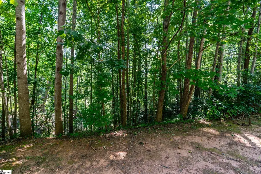 313 Laurel Valley Way, Travelers Rest, SC 29690 - #2