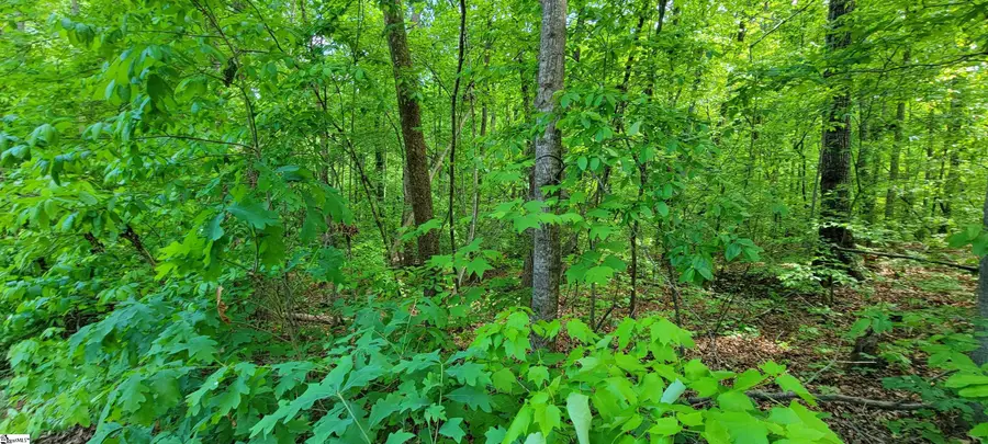 00 Lynden Loop, Westminster, SC 29693 - #3
