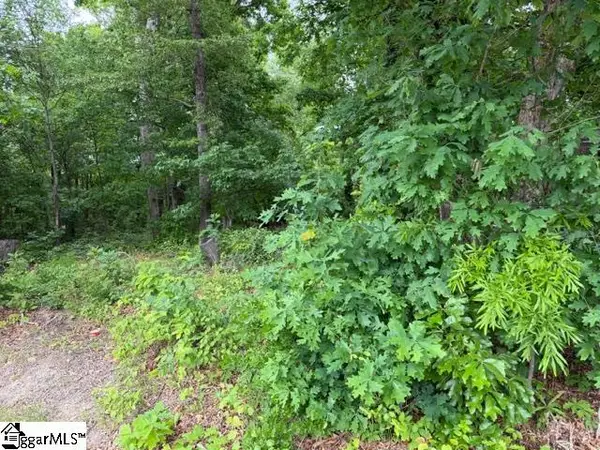 0 Brook Glenn Road, Taylors, SC 29687