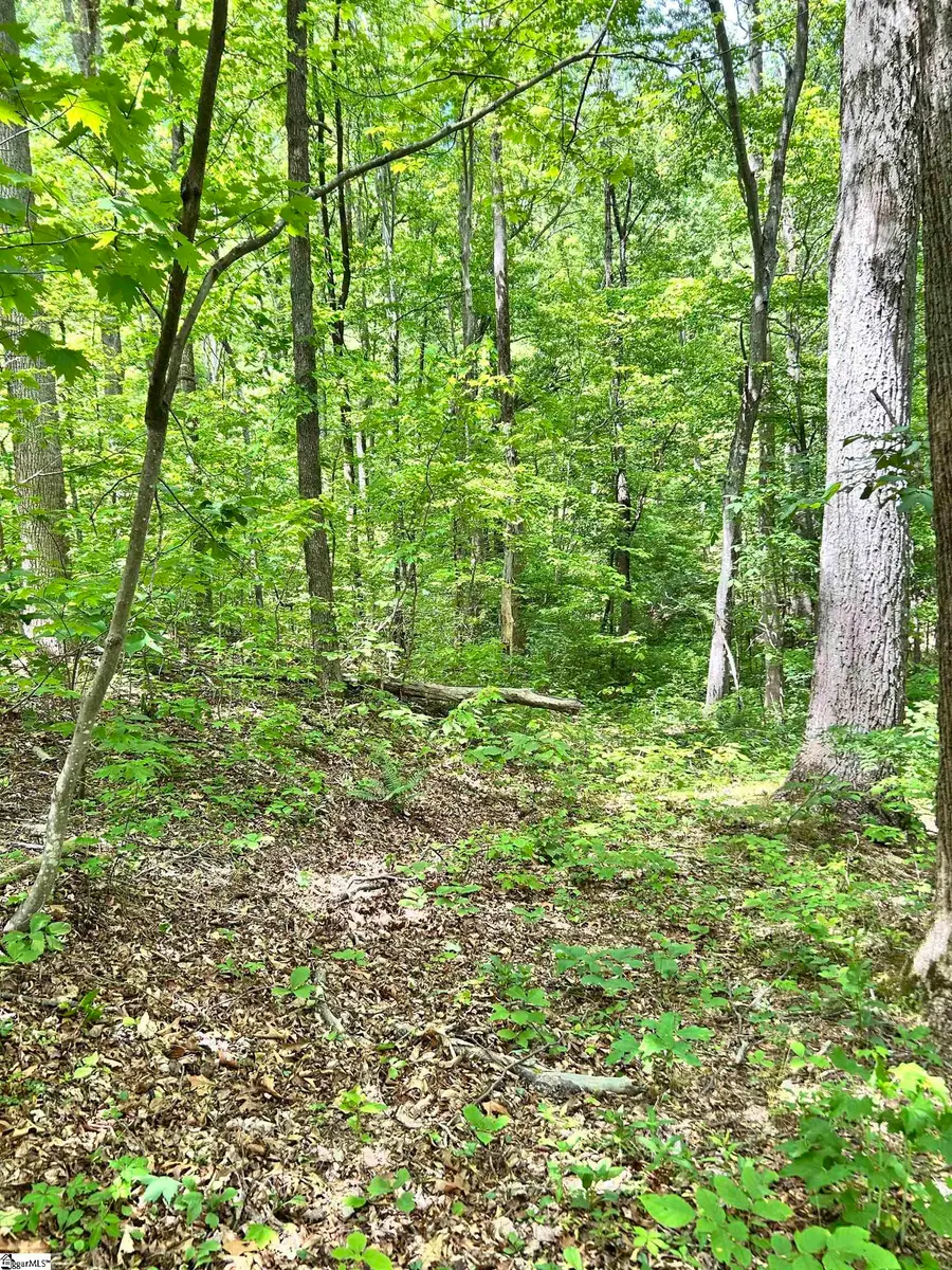 Address Withheld By Seller, Landrum, SC 29356 - #3