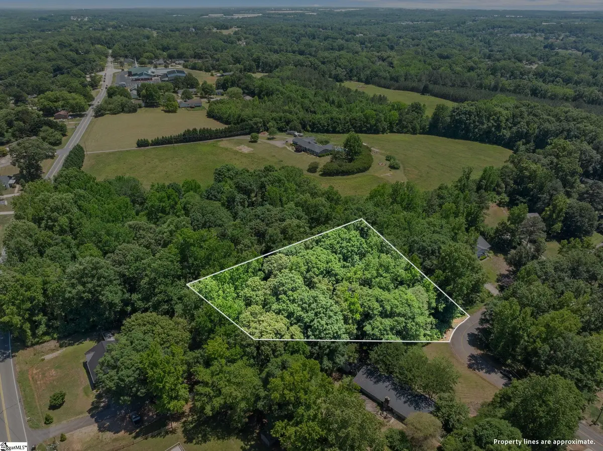 407 Palmetto Drive, Greer, SC 29651 - #1
