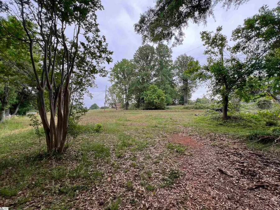 384 Hamburg Road, Easley, SC 29640 - #2