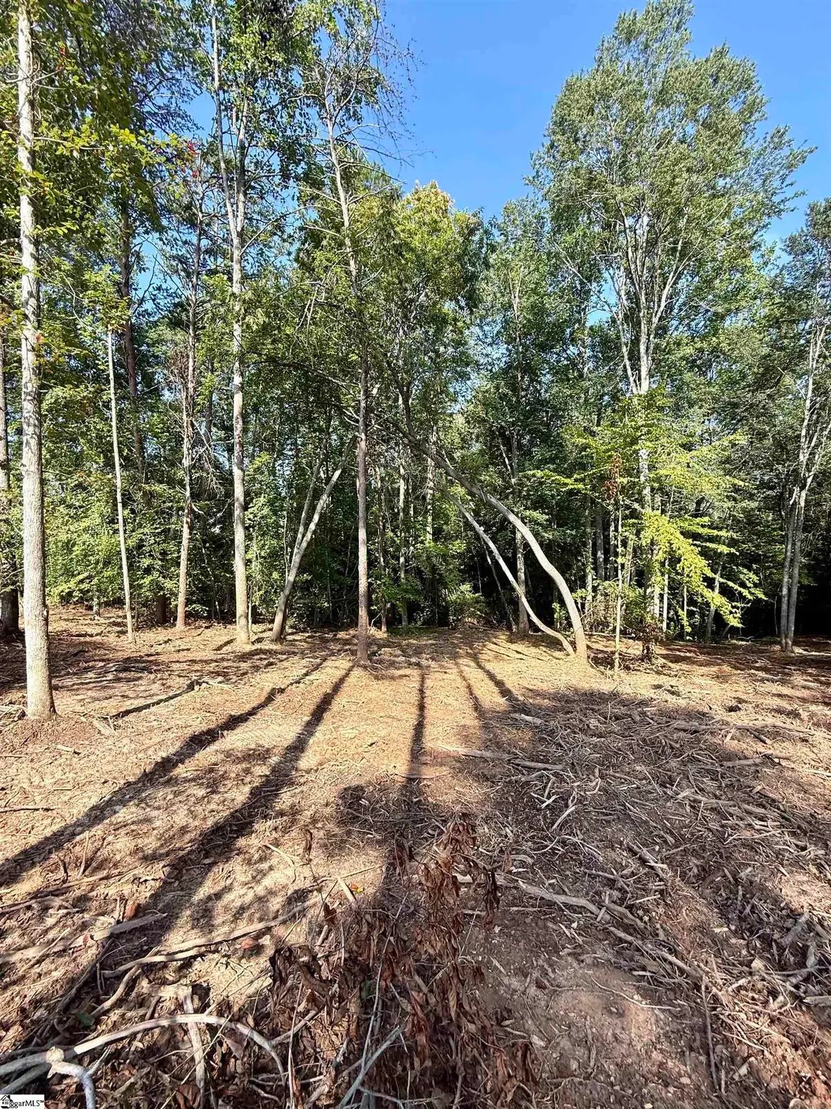 0 Thompson Road #Lot 3, Greer, SC 29651 - #1