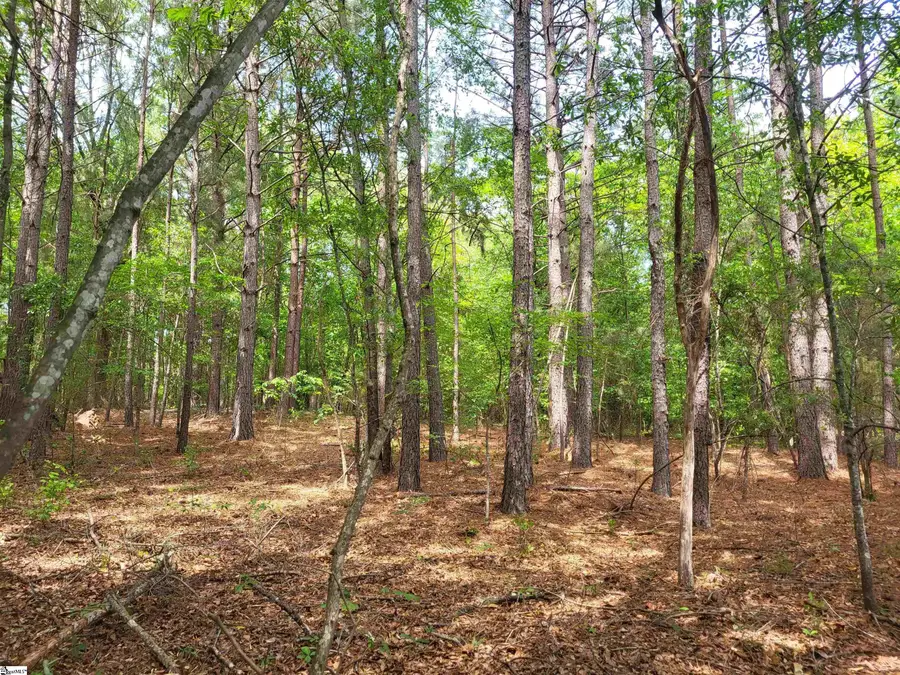 0 Love Springs Road, Cowpens, SC 29303 - #2