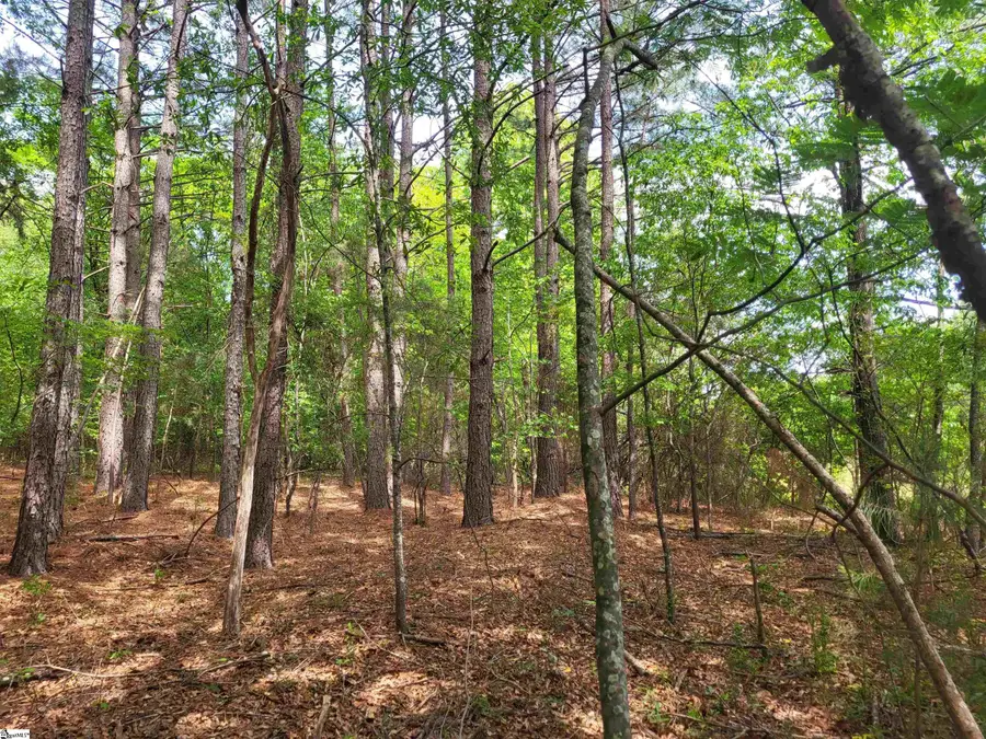 0 Love Springs Road, Cowpens, SC 29303 - #3
