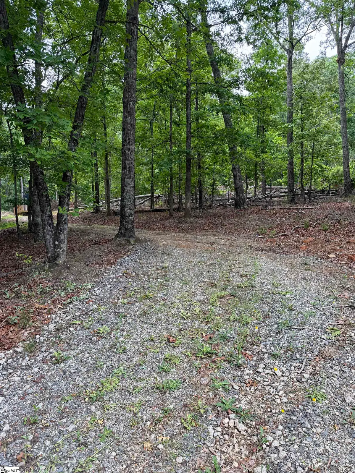 1321 Carolina Country Club Road, Spartanburg, SC 29302 - #1
