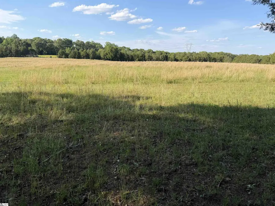 100 Living Waters Trail #Lot 4, Woodruff, SC 29388 - #2