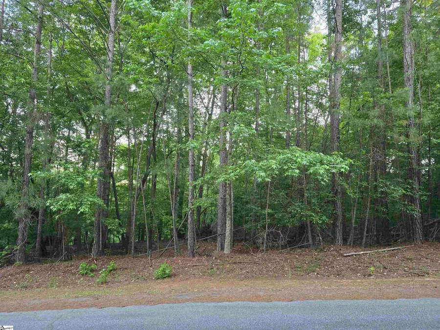 00 Crescent Drive, McCormick, SC 29835 - #3