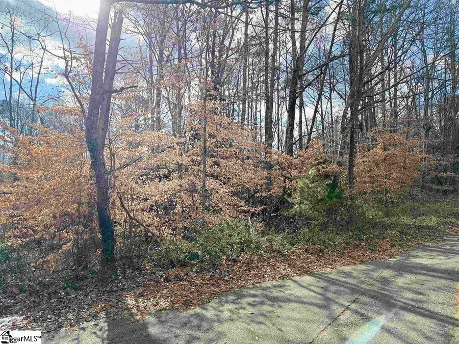 128 Willow Pond Lane, Piedmont, SC 29675 - #3