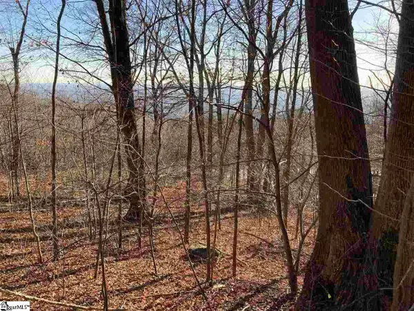Stonesthrow Drive #Lot 130, Landrum, SC 29356