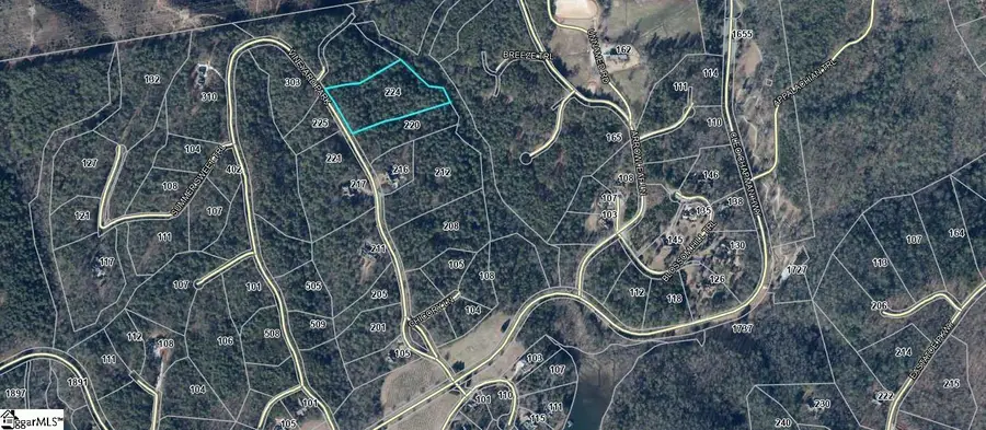 224 Vineyard Park, Sunset, SC 29685 - #2