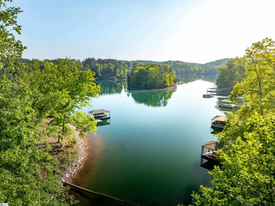 118 Squirrel Point, Six Mile, SC 29682 - #3