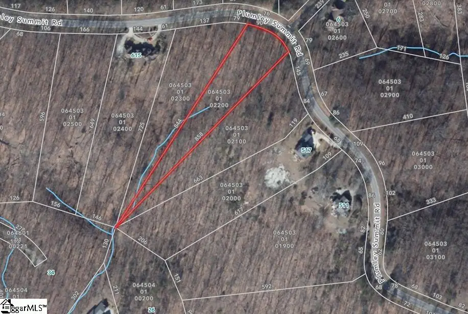 21 Plumley Summit Road, Landrum, SC 29356 - #1