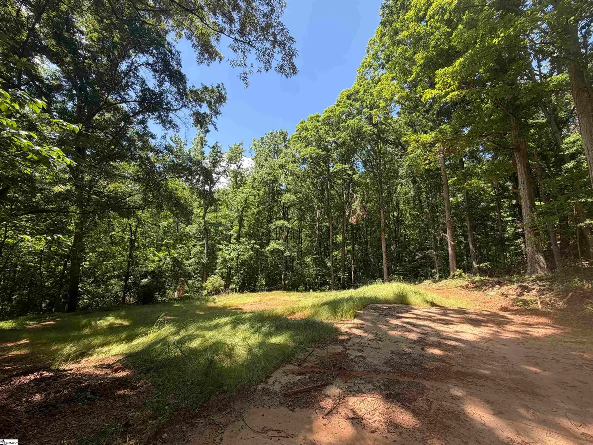 321 Grace Lane, Piedmont, SC 29673 - #1